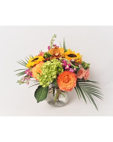 Beautiful Seasonal Flowers Banner